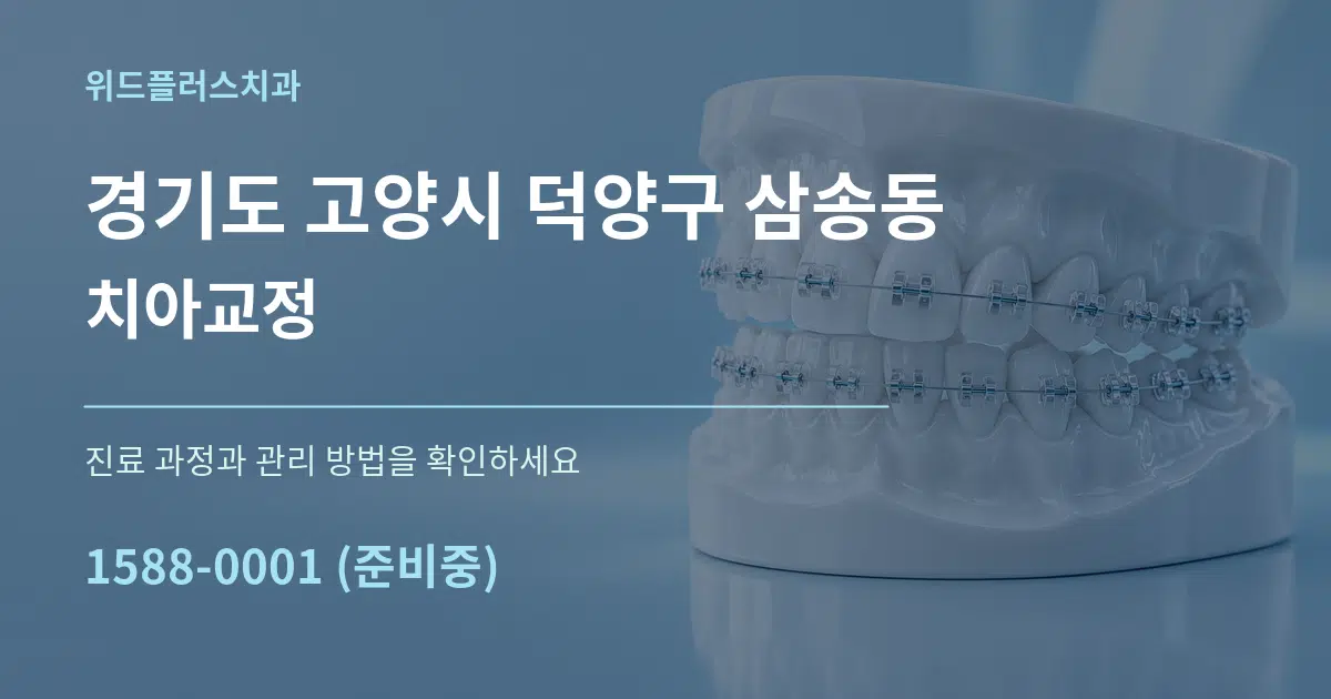 경기도 고양시 덕양구 삼송동 치아교정 서비스 이용 안내 그래픽