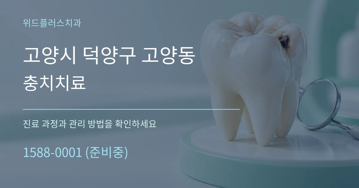 고양시 덕양구 고양동 충치치료 작업 조건 안내 그래픽