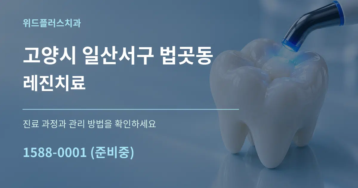 고양시 일산서구 법곳동 레진치료 서비스 이용 안내 그래픽