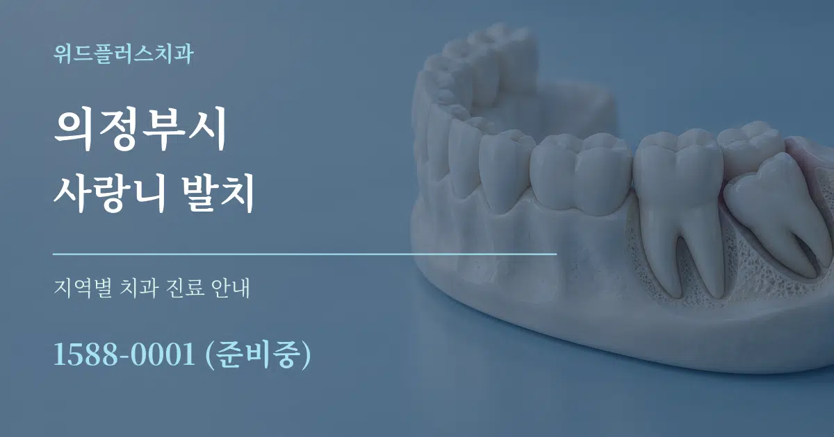 의정부시 사랑니 발치 대표 안내 그래픽