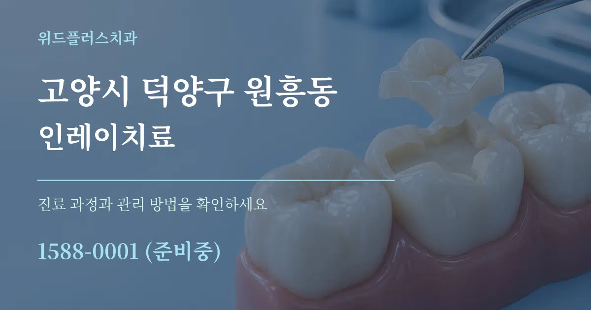 고양시 덕양구 원흥동 인레이치료 서비스 이용 안내 그래픽