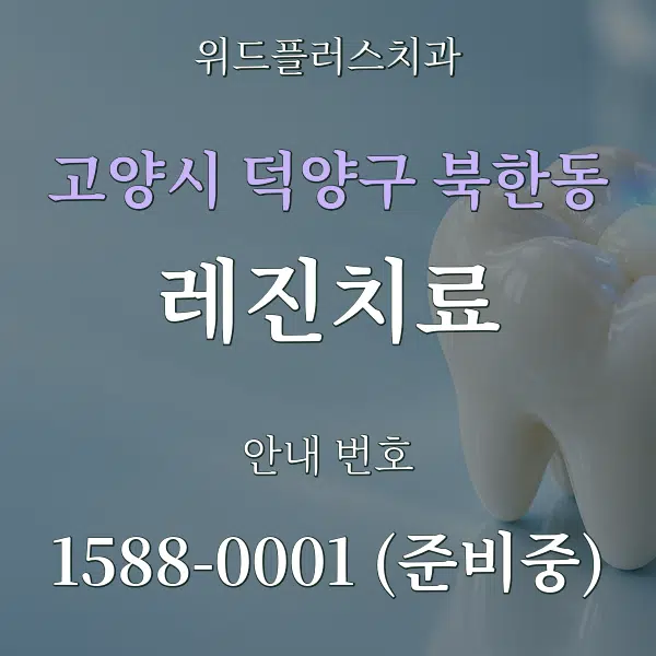 고양시 덕양구 북한동 레진치료 대표 안내 그래픽