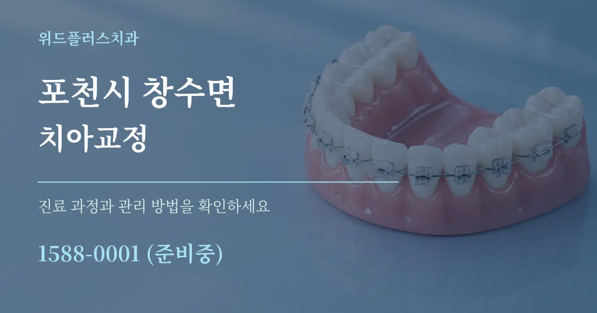 포천시 창수면 치아교정 서비스 이용 안내 그래픽