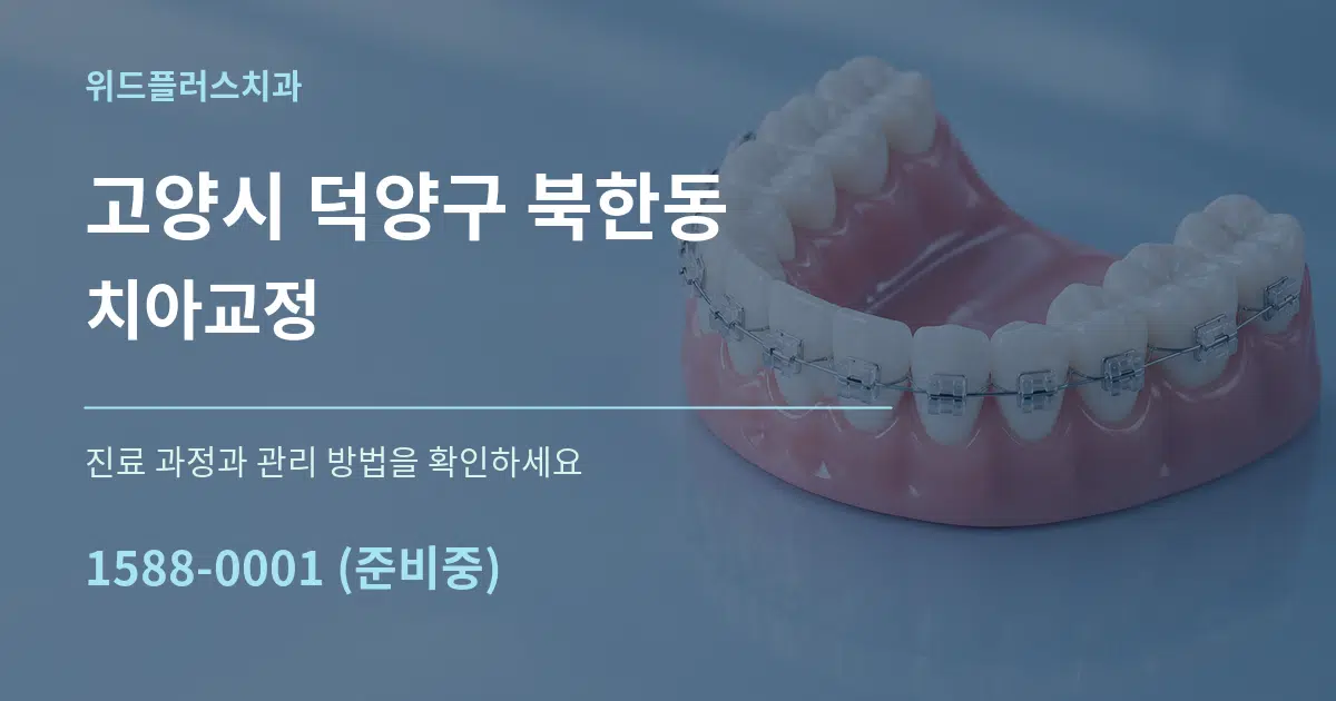 고양시 덕양구 북한동 치아교정 서비스 이용 안내 그래픽