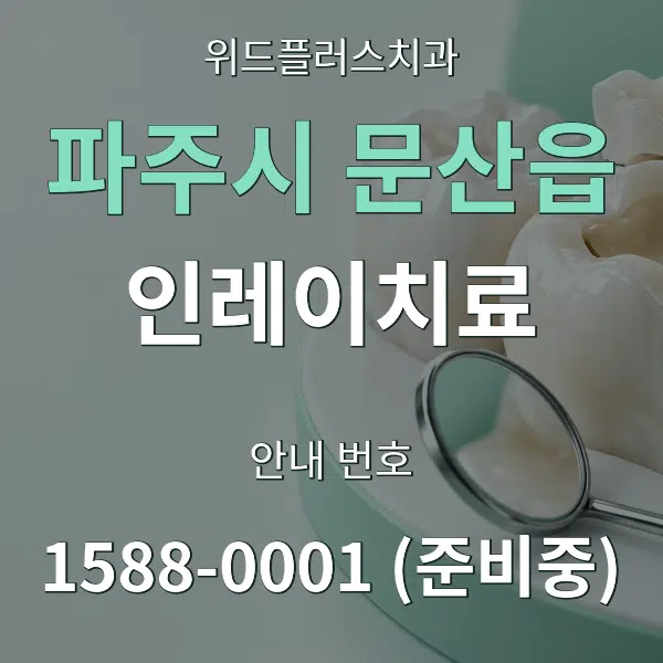 파주시 문산읍 인레이치료 대표 안내 그래픽