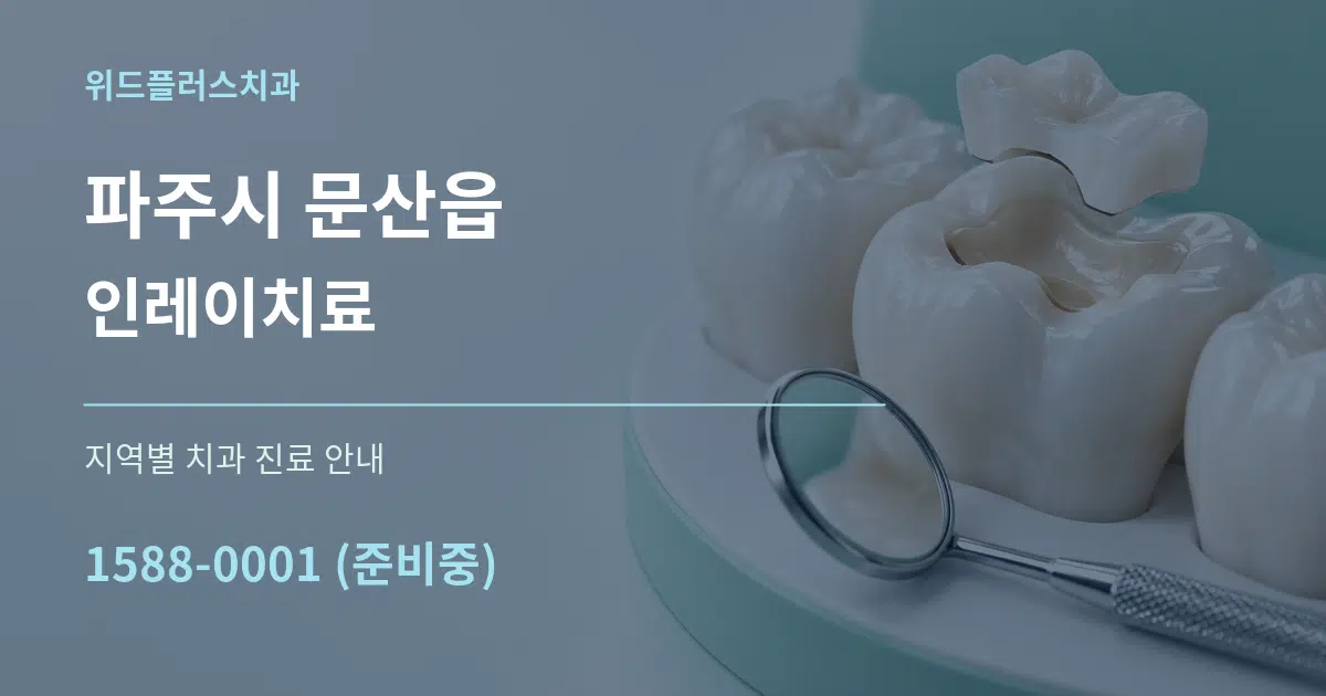 파주시 문산읍 인레이치료 대표 안내 그래픽
