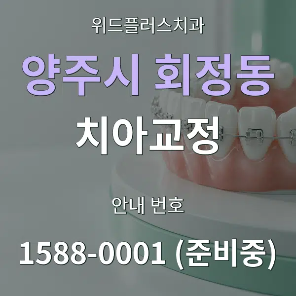 양주시 회정동 치아교정 대표 안내 그래픽