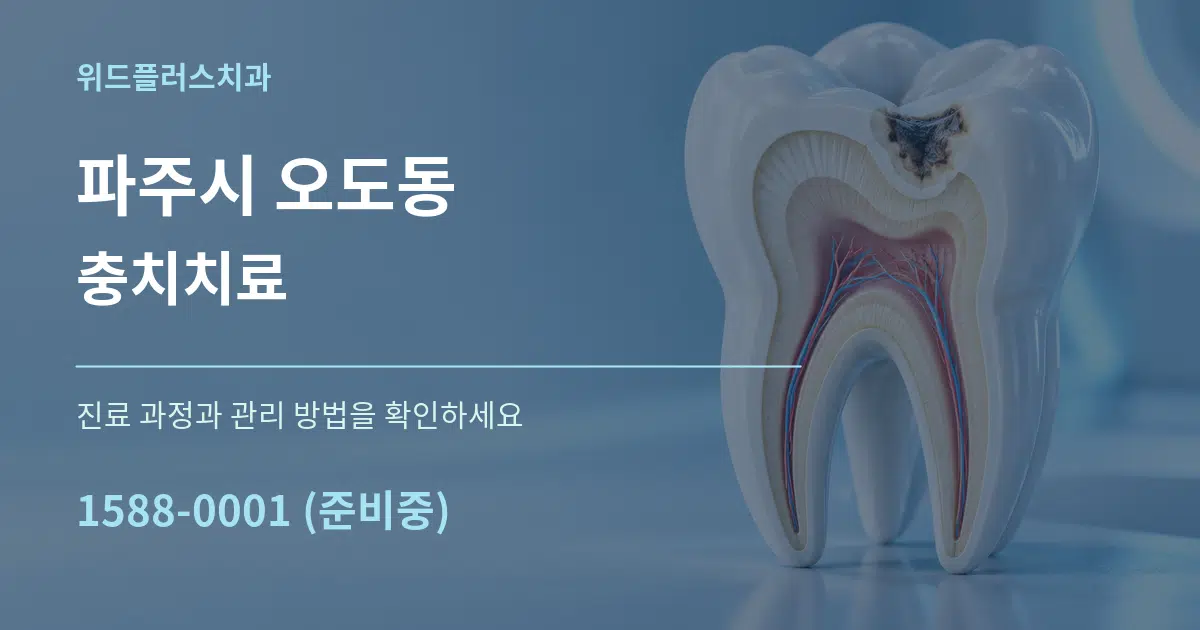 파주시 오도동 충치치료 작업 조건 안내 그래픽