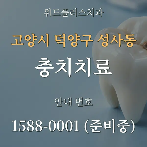 고양시 덕양구 성사동 충치치료 대표 안내 그래픽