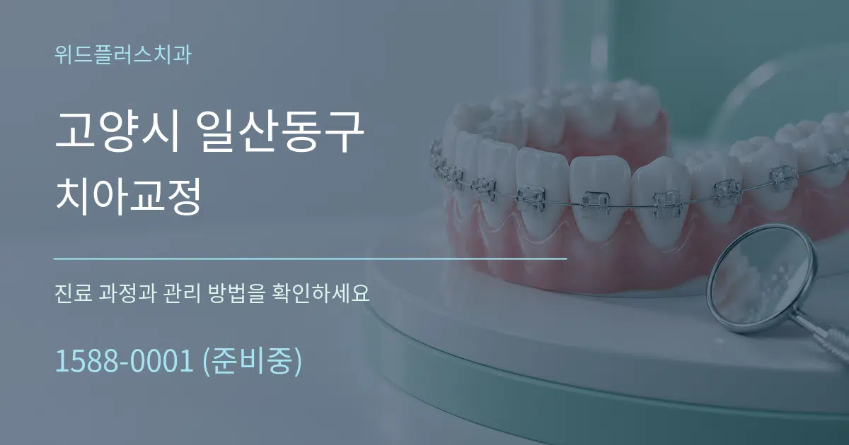 고양시 일산동구 치아교정 작업 조건 안내 그래픽