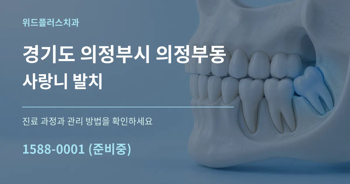 경기도 의정부시 의정부동 사랑니 발치 서비스 이용 안내 그래픽