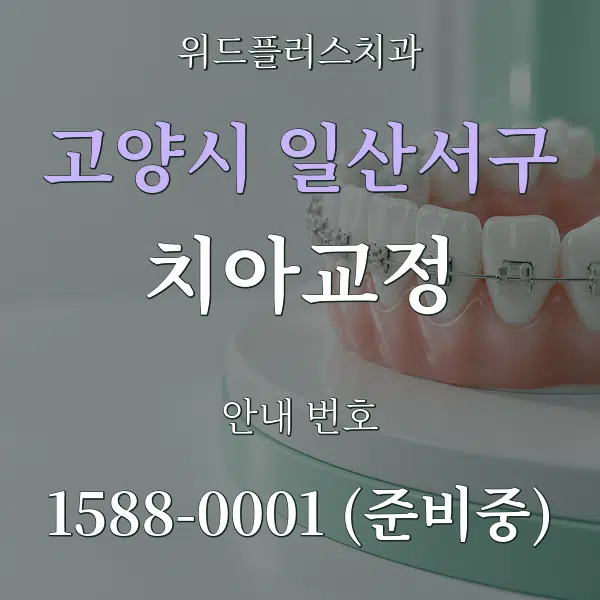 고양시 일산서구 치아교정 대표 안내 그래픽