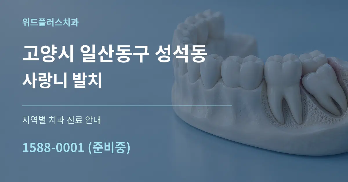 고양시 일산동구 성석동 사랑니 발치 대표 안내 그래픽