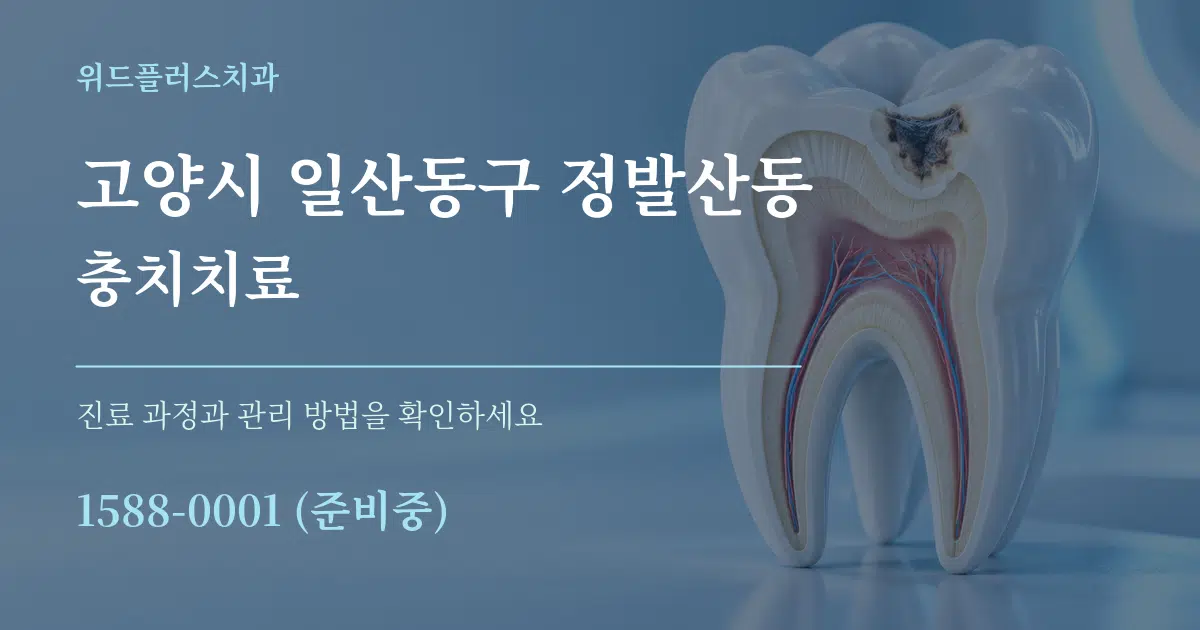 고양시 일산동구 정발산동 충치치료 서비스 이용 안내 그래픽