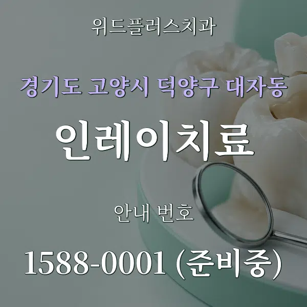 경기도 고양시 덕양구 대자동 인레이치료 대표 안내 그래픽