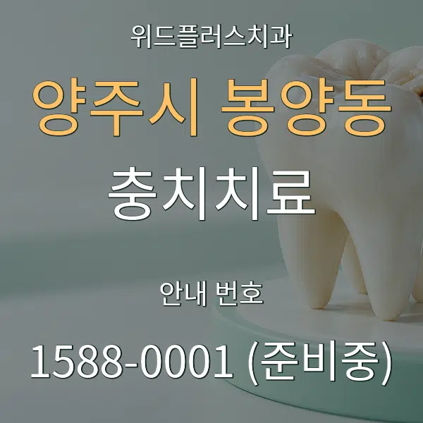 양주시 봉양동 충치치료 대표 안내 그래픽