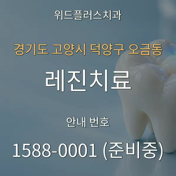 경기도 고양시 덕양구 오금동 레진치료 대표 안내 그래픽