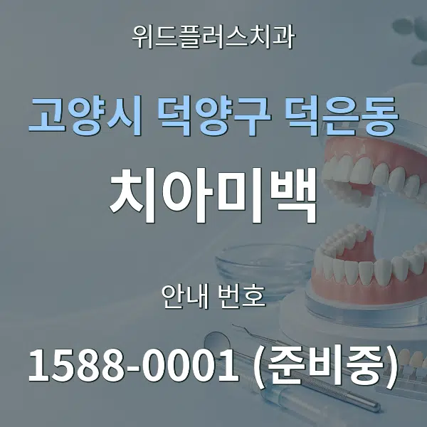 고양시 덕양구 덕은동 치아미백 대표 안내 그래픽