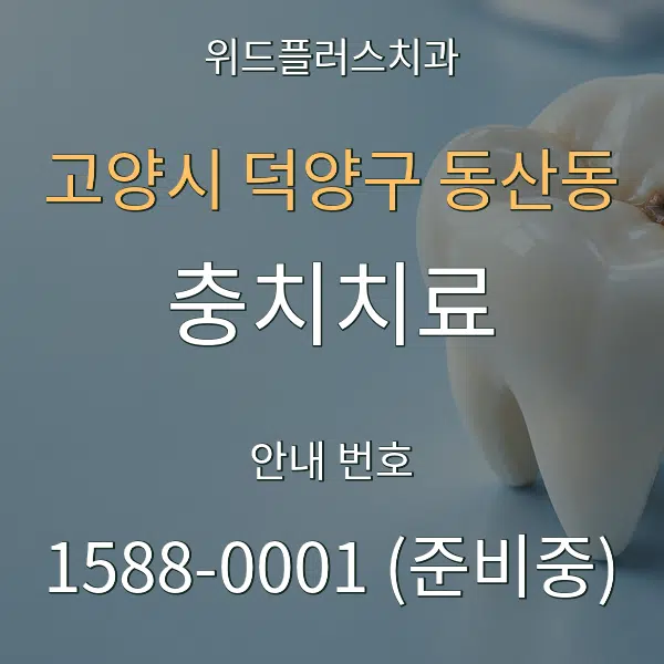 고양시 덕양구 동산동 충치치료 대표 안내 그래픽