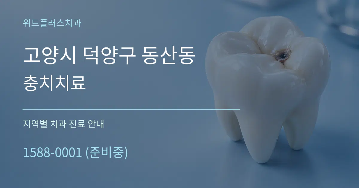 고양시 덕양구 동산동 충치치료 대표 안내 그래픽