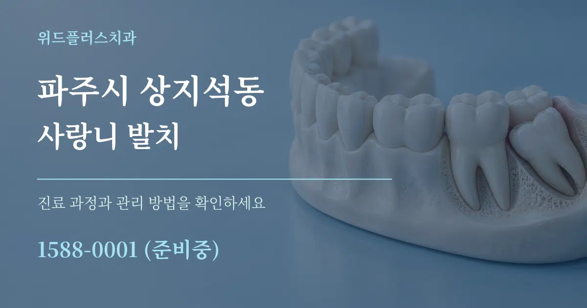 파주시 상지석동 사랑니 발치 서비스 이용 안내 그래픽