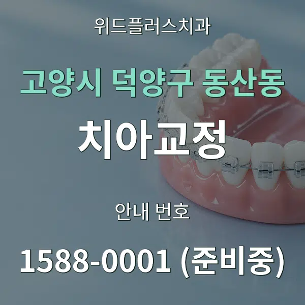 고양시 덕양구 동산동 치아교정 대표 안내 그래픽