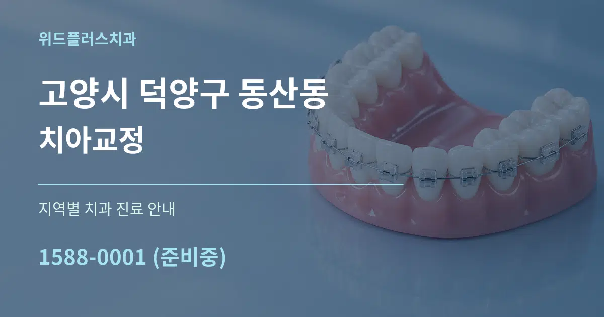 고양시 덕양구 동산동 치아교정 대표 안내 그래픽