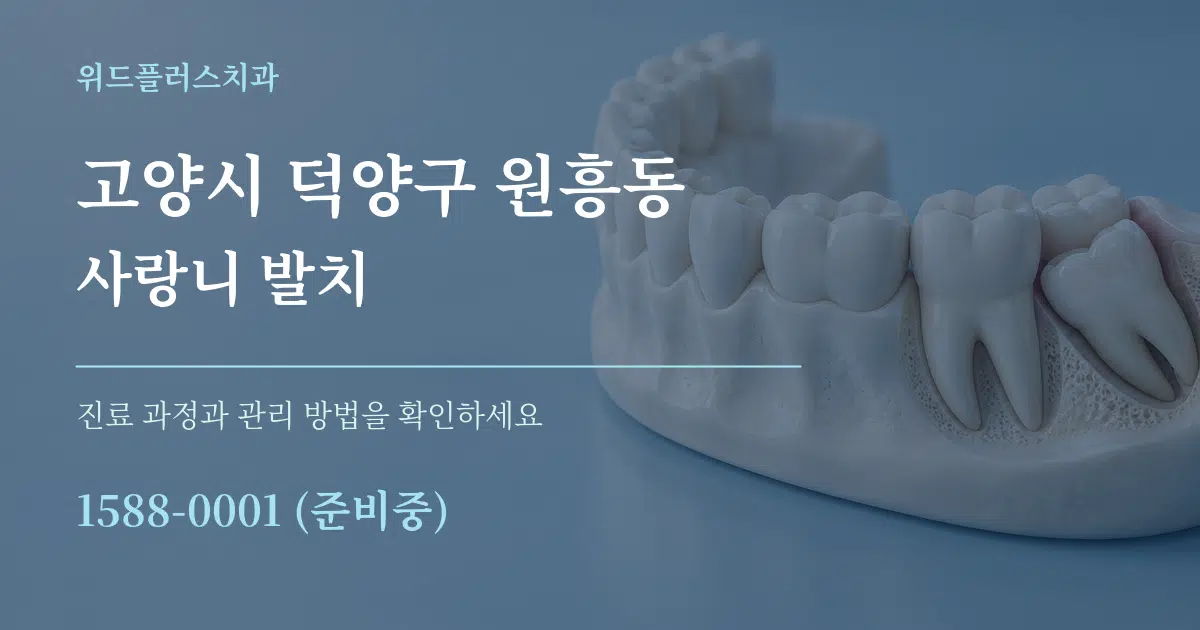 고양시 덕양구 원흥동 사랑니 발치 서비스 이용 안내 그래픽