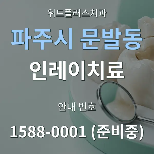 파주시 문발동 인레이치료 대표 안내 그래픽