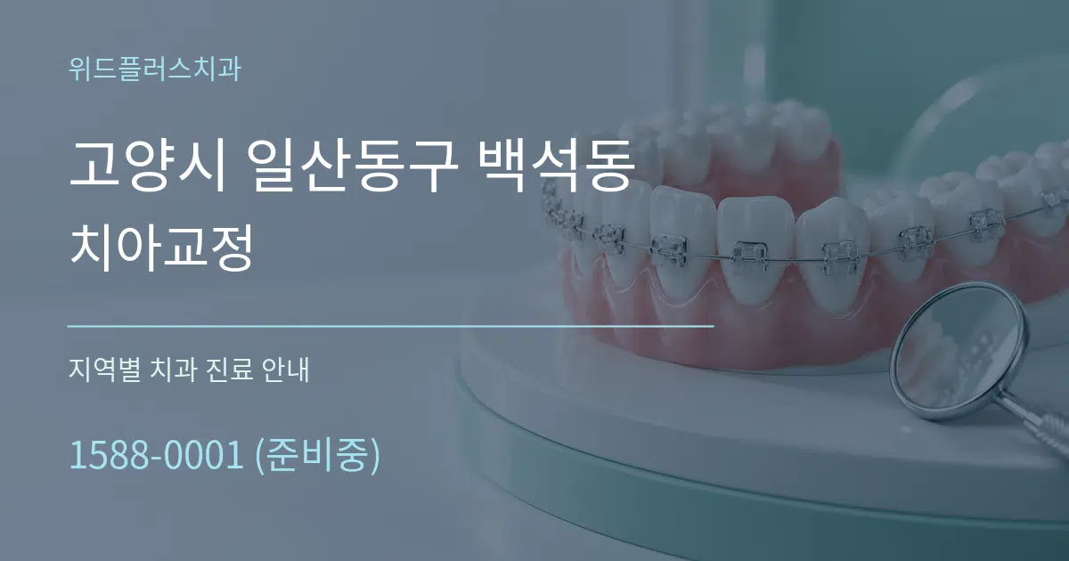 고양시 일산동구 백석동 치아교정 대표 안내 그래픽