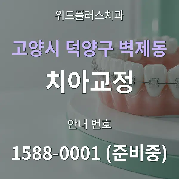 고양시 덕양구 벽제동 치아교정 대표 안내 그래픽