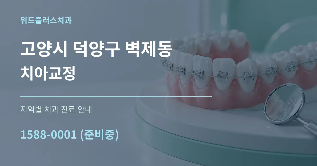 고양시 덕양구 벽제동 치아교정 대표 안내 그래픽