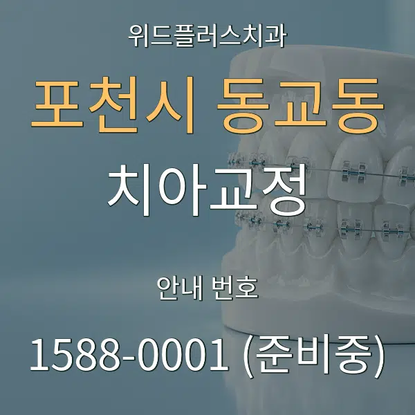 포천시 동교동 치아교정 대표 안내 그래픽