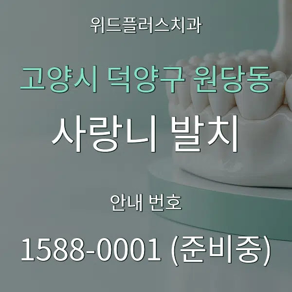 고양시 덕양구 원당동 사랑니 발치 대표 안내 그래픽