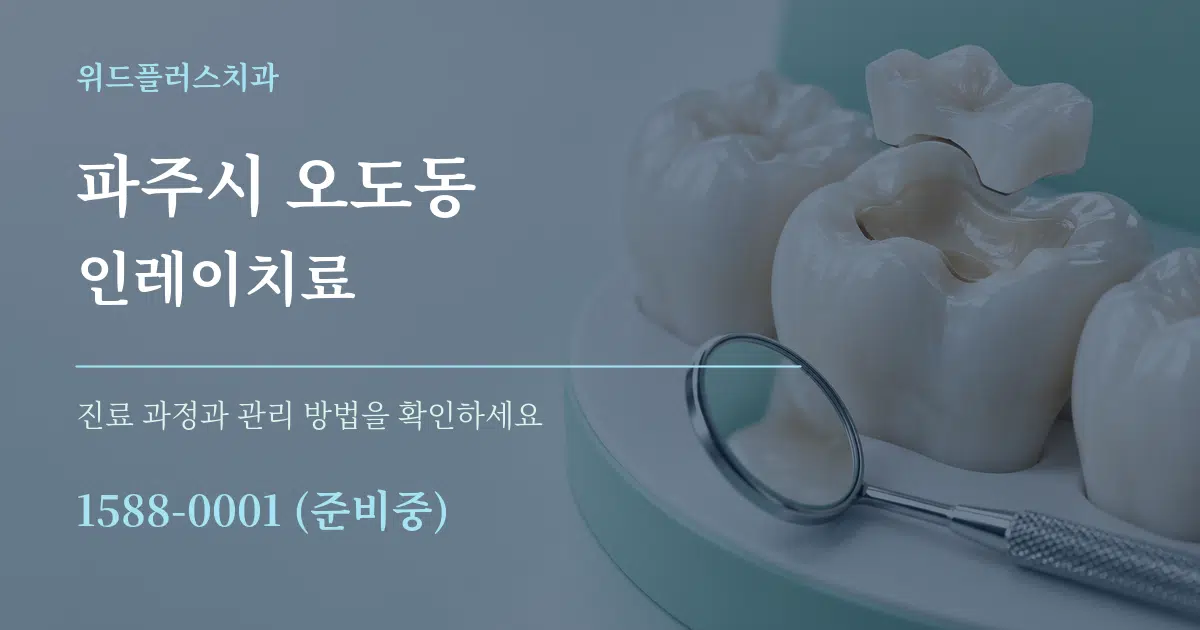 파주시 오도동 인레이치료 서비스 이용 안내 그래픽