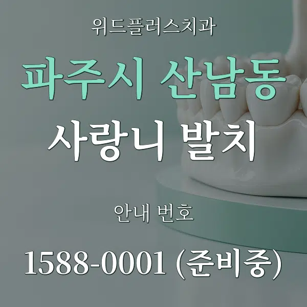 파주시 산남동 사랑니 발치 대표 안내 그래픽