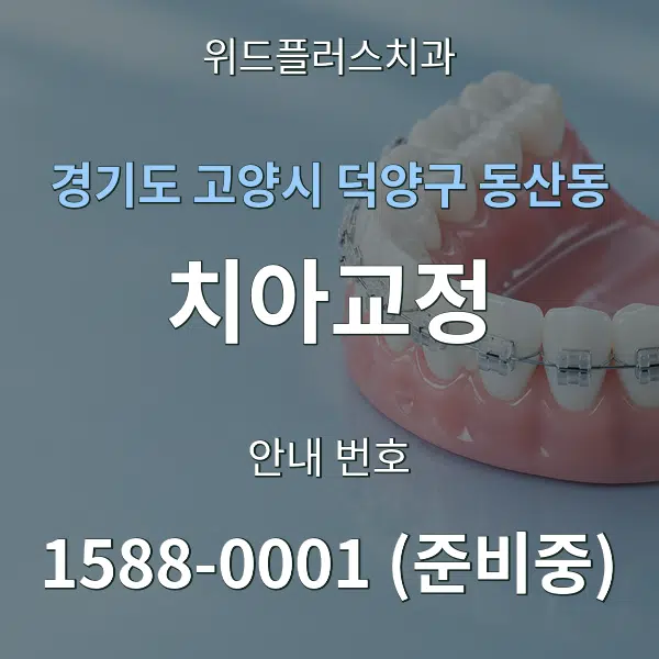 경기도 고양시 덕양구 동산동 치아교정 대표 안내 그래픽