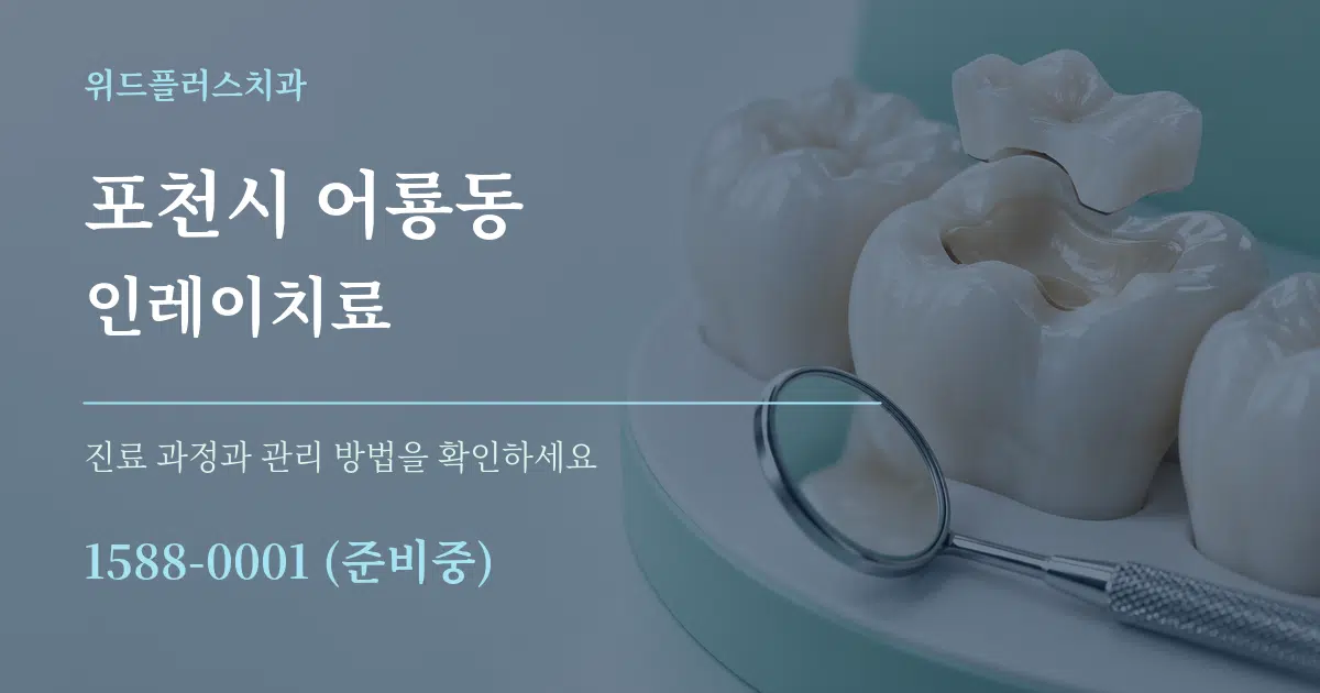 포천시 어룡동 인레이치료 서비스 이용 안내 그래픽
