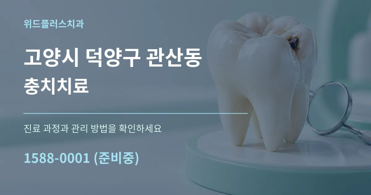 고양시 덕양구 관산동 충치치료 서비스 이용 안내 그래픽