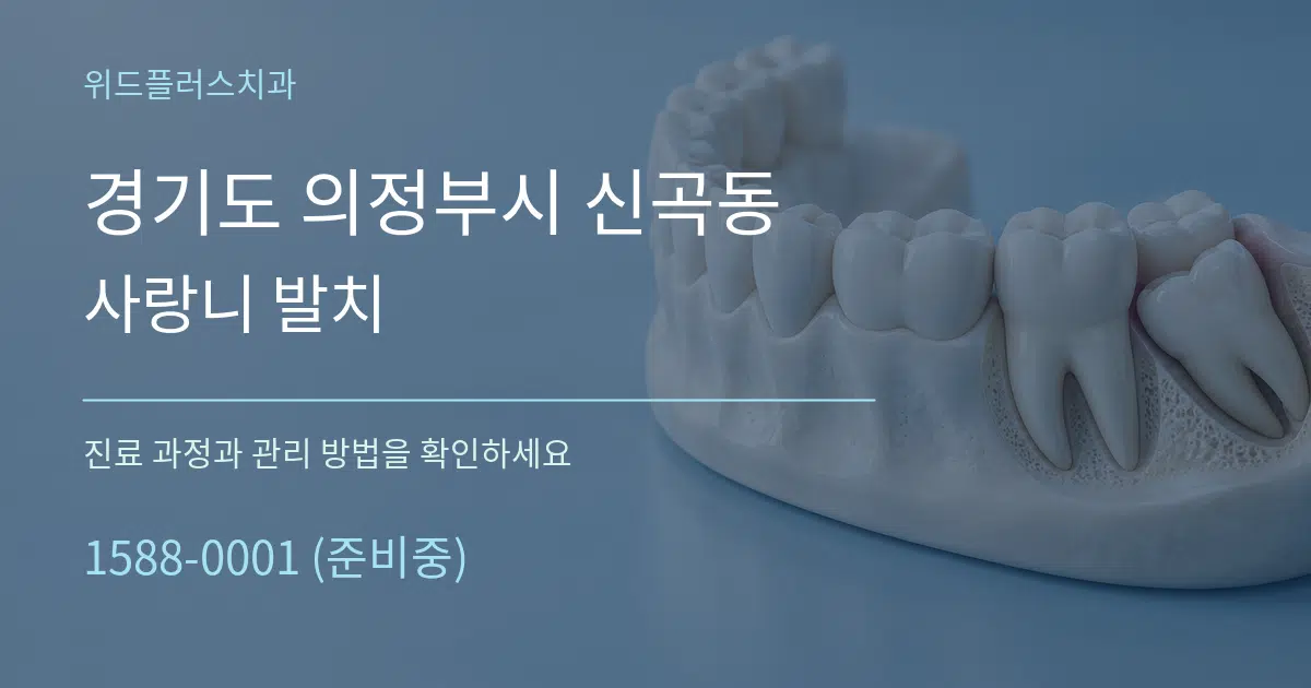 경기도 의정부시 신곡동 사랑니 발치 작업 조건 안내 그래픽