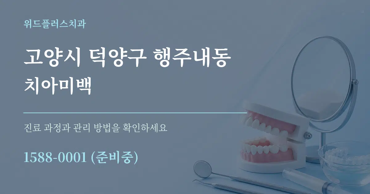 고양시 덕양구 행주내동 치아미백 작업 조건 안내 그래픽