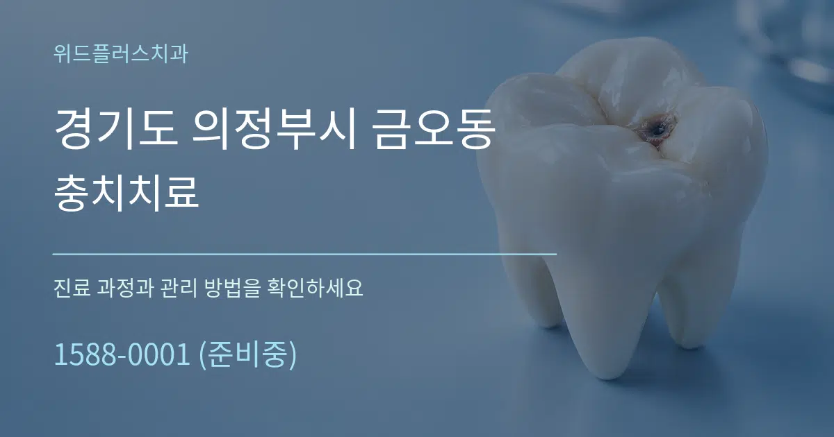 경기도 의정부시 금오동 충치치료 서비스 이용 안내 그래픽