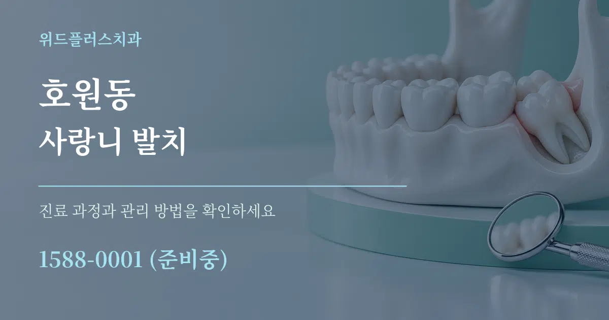 호원동 사랑니 발치 서비스 이용 안내 그래픽