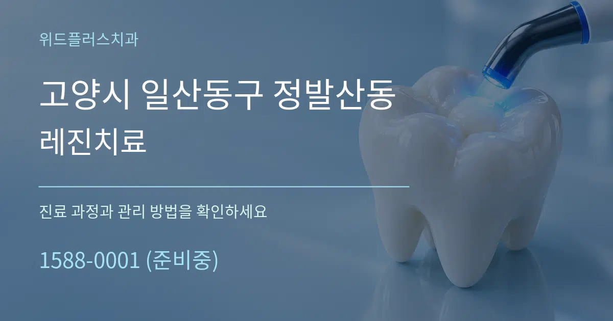 고양시 일산동구 정발산동 레진치료 서비스 이용 안내 그래픽