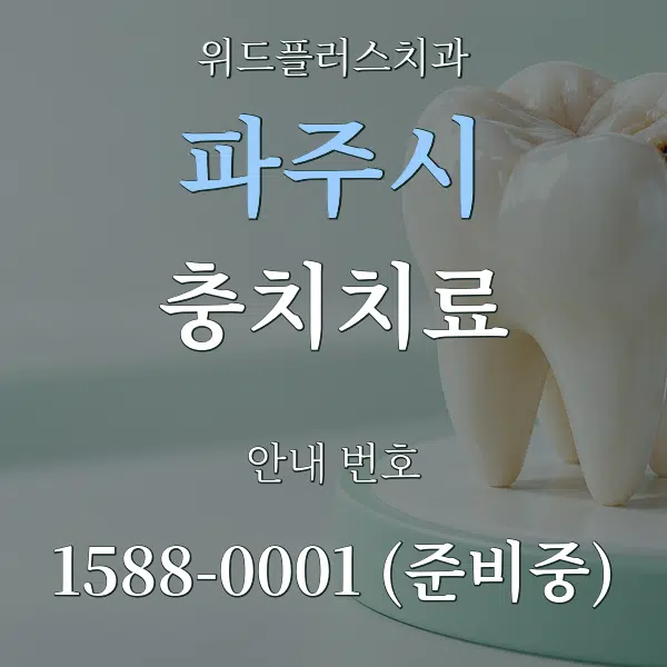 파주시 충치치료 대표 안내 그래픽