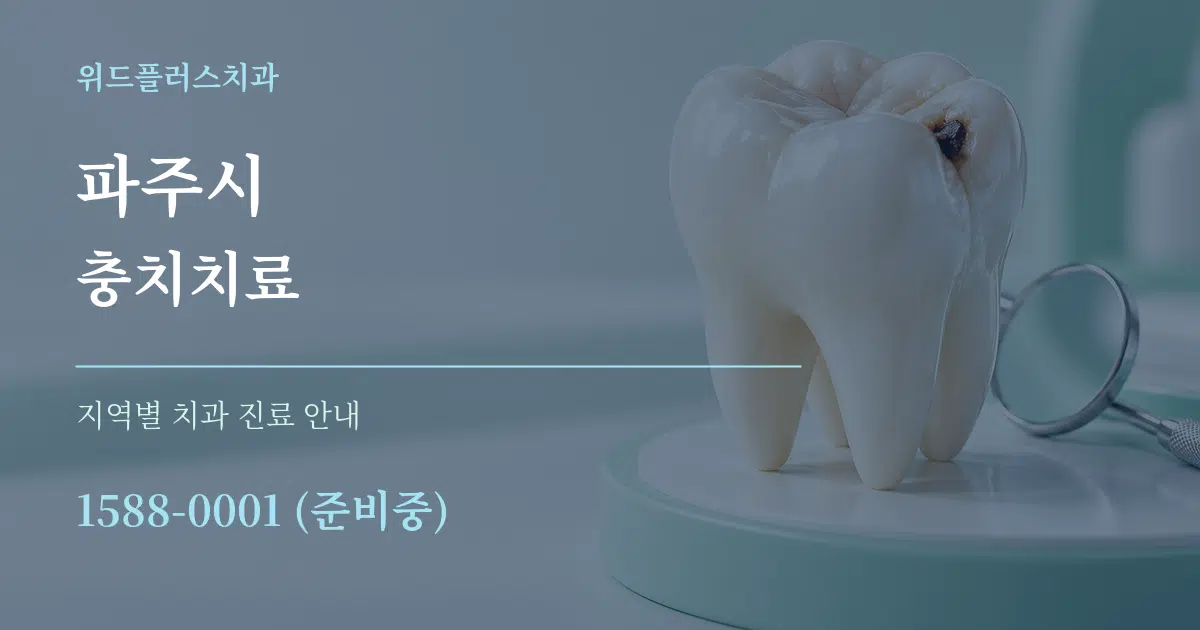 파주시 충치치료 대표 안내 그래픽
