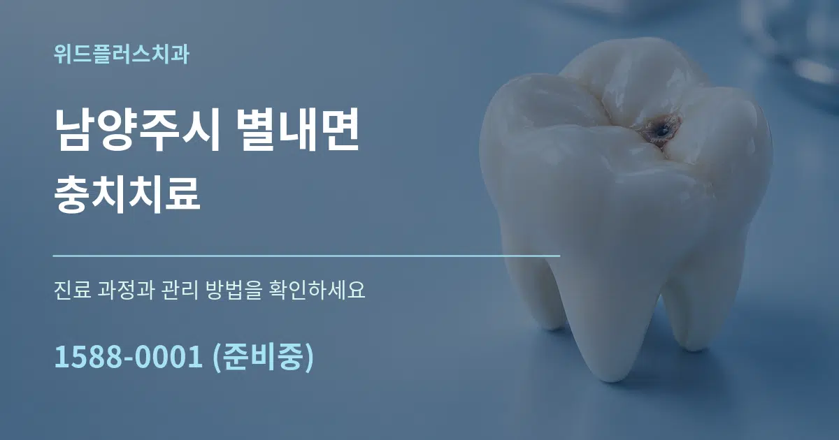 남양주시 별내면 충치치료 서비스 이용 안내 그래픽
