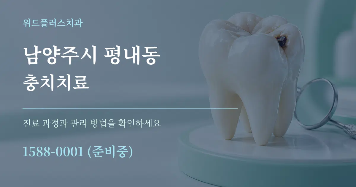 남양주시 평내동 충치치료 서비스 이용 안내 그래픽