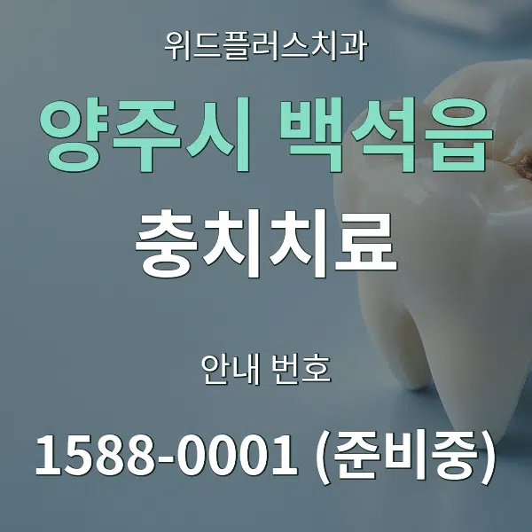 양주시 백석읍 충치치료 대표 안내 그래픽