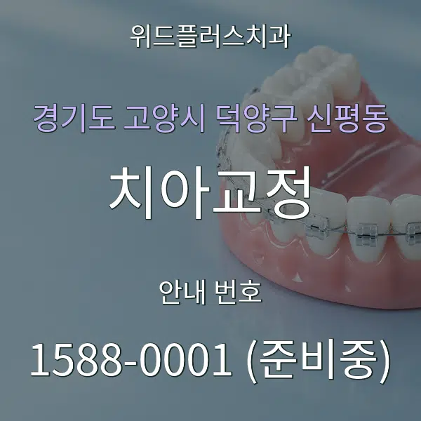 경기도 고양시 덕양구 신평동 치아교정 대표 안내 그래픽